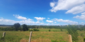 BÁN ĐẤT RẪY, XÃ IA KENH, TP PLEIKU, GIA LAI, DT: 5.1 HEC, ( ĐẤT TCLN)