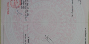 CHÍNH CHỦ - Bán rẻ - GIẢM GIÁ sập sàn đất trồng cây lâu năm chỉ 470k/m2