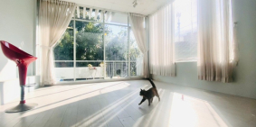 Mặt bằng kinh doanh trung tâm Q1, Nguyễn Trãi