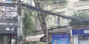 Nhà cấp 3 khu vực VIP mặt tiền thụt Dạ Nam P2Q8 10 tỷ