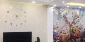 Biệt thự 3 lầu full NT cao cấp MT Trần Thị Ngôi P4 Q8