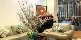 Bán nhà ngõ Võ Thị Sáu, ngõ rộng, thoáng, 49m2, 11.6 tỷ