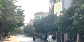 Bán đất LK XaLa, Hà Đông 125m2, lô góc, vỉa hè 3m, đường 15m nhỉnh 12 tỷ