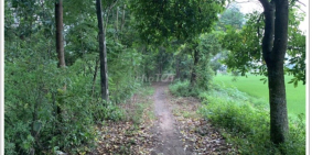 Cần sang nhượng dự án đất Dục Tú Đông Anh 26562m2