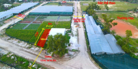 1 Lô Duy Nhất Được Ưu Tiên Giá Rẻ, Sổ Sẵn, Tiềm Năng, Cam Kết Xuống Cọc Lời Ngay