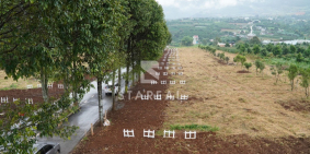 Biệt thự nghỉ dưỡng và nhà vườn Eden Hills Đà Lạt - đã có sổ thanh toán CK 10%