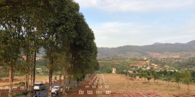 Biệt thự chân mây Eden Hills Đà Lạt - đã có sổ từng nền. Chiết khấu 10%