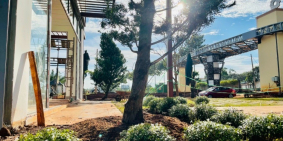 BÁN đất nền  Bình Phước giá từ 4tr/m2