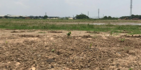 Bán lô 5.000m2 đất cụm CN Song Khê – Nội Hoàng – Bắc Giang, bàn giao ngay.