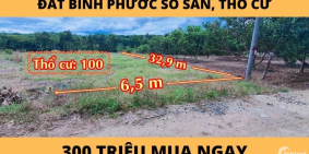 Ngộp lô đất Chơn Thành Bình Phước diện tích 220m2,thổ cư 100m2