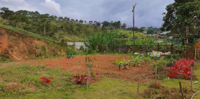 BÁN LÔ ĐẤT THOẢ MÃN 3 TIÊU CHÍ: ĐẤT RỘNG, ĐƯỜNG BỰ, VIEW ĐẸP (4 MẶT RỘNG THOÁNG)