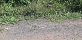 Cần bán đất ở mặt tiền đường Nguyễn Trọng Nghĩa, Thị trấn Đất Đỏ, Đường rộng 9m