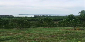 Cần bán lô đất rộng view Hồ Trị An đẹp tuyệt trần tại Là Ngà, Định Quán, Đồng Na