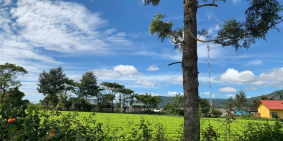 Cơ hội đầu tư có 1 0 2 cho các nhà đầu tư chỉ với 620tr tại Đơn Dương