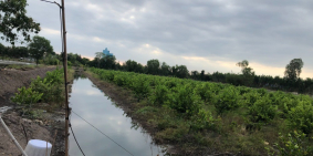 Gia đình cần sang lại miếng đất 5200m2, Sổ hồng chính chủ