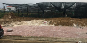 lô đất đẹp cần tìm chủ đẹp để  hợp tác lh 0974162152 gặp khánh