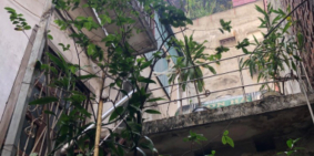 Bán gấp đất mặt phố Quận Hai Bà Trưng-xây văn phòng,ccmn,khách sạn quá đẹp