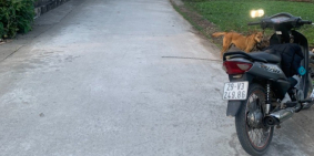 Bán lô đất 125m2 tại Sâm Linh Minh Tân Kiến Thụy giá hạt tiêu cực yêu