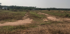 đất sào có thổ Phước Bình - Long Thành 2triệu/m2