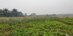 bán 33845m2 đất 50 năm có sổ tại kim hoa mê linh có thể làm nhà xưởng gía làm xư