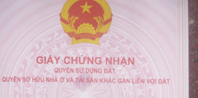 Bán đất Phước An Long Thọ- Nhơn Trạch-Đồng Nai ( chính chủ )
