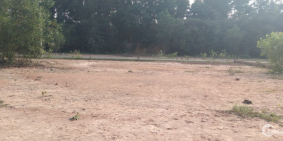 Tết gần đến chủ cần ra gấp lô đất ở xã phú đông huyện nhơn trạch