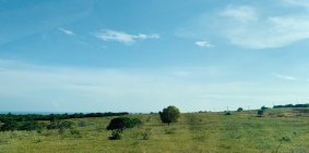 Bán Đất Sào Ngay Khu Vực Bắc Bình-Bình Thuận Giá Chỉ Từ 75.000/m2