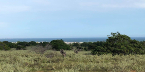 Bán 5858m2 đất nền chợ lầu 820tr gần khu nghĩ dưỡng cao cấp 200ha Lh 0938677909