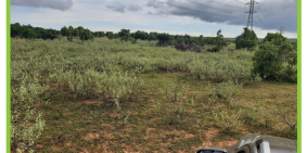 Bán 8027m2 đất nền bắc bình 963tr gần liên huyện, công viên safari Lh 0385230667