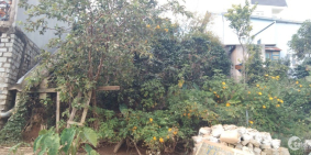 Cần bán đất nông nghiệp khu dân cư 48m2 đường Nguyễn An Ninh, Tp. Đà Lạt