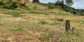 CẦN BÁN ĐẤT NÔNG NGHIỆP ĐÃ CÓ SỔ RIÊNG MĂNG LIN ĐÀ LẠT LÂM ĐỒNG