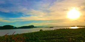 Cần bán lô đất NN 527m2 ven sông đa nhim lâm đồng, giá chỉ 2,4 tỷ.