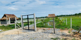 Đất vườn củ chi sẵn nhà vườn 574m2 giá chỉ 1ty050, sổ hồng riêng.