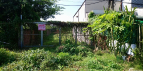 Đất vĩnh long mặt tiền gần cần bán