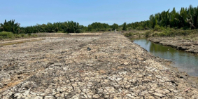 Đất dân giá rẻ cần bán hơn 1000m2, đường ô tô vào tận nơi