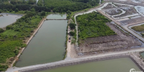 Đất vườn View hồ lớn cực đẹp có đ.xe hơi tới  tận đất tại Nhơn Trạch