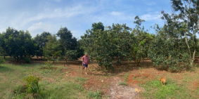 Bán đất chính chủ không trung gian