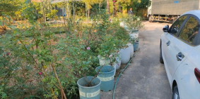 Cho thuê nhà xưởng 3000 m2 (lô đất 1.1ha) tại Ngọc Thanh, Phúc Yên, Vĩnh Phúc