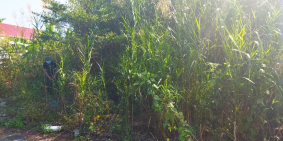 Bán đất cách Cần Thơ 7P đi xe, cách QL 1A 100m