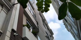 Bán nhà siêu đẹp Đường số 20 P5 GV, gần khu căn cứ BQP an ninh, giá chỉ 6.5 tỷ