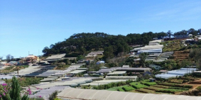 Bán lô Đất view đẹp ngay đường Trịnh Hoài Đức, phường 11, TP Đà Lạt