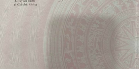 Bán hơn 1200m2 đất ven Đà Lạt, 3 mặt tiền, view thoáng mát