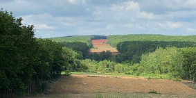 Đất khu liên hợp becamex Đồng Phú 6300ha, sổ hồng sẵn, công chứng trong ngày