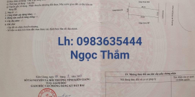 Chuyển nhượng quyền sử dụng đất