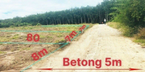 Bán 560m2 đất vườn thổ cư 100m2,tại Chơn Thành Bình Phước