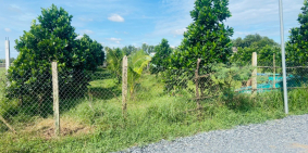 Đất vườn Củ Chi xã Nhuận Đức 2 lô liền kề 1000m2 giá ngộp 1ty230 sổ hồng riêng