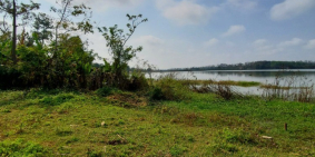 Đất Sào View Ven Hồ Ea Nhái đường bê tông đến tận nơi