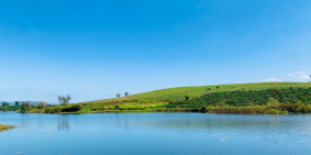 VƯỜN TRÁI CÂY THỔ CƯ LÂM HÀ LÂM ĐỒNG