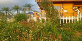 Đất nền 5x21 Khu hạng sang Spacy House,view hồ,sổ hồng 1tỷ1/lô mua nhanh kẻo hết