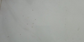 BÁN ĐẤT THỔ CƯ SỔ HỒNG VĨNH LONG (CHÍNH CHỦ)